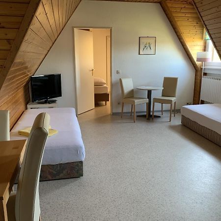 Gaestehaus An Der Rheinbruecke Altlussheim Zewnętrze zdjęcie